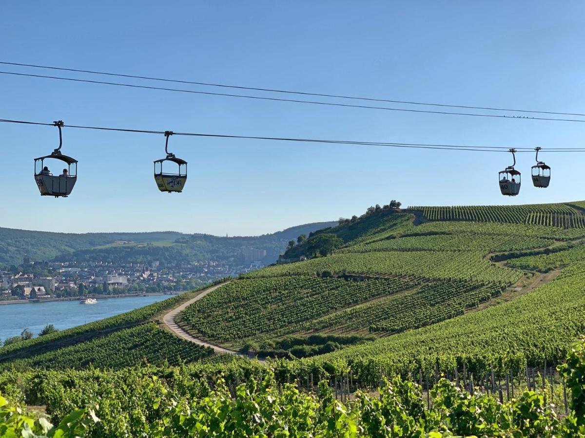 Zur Goldenen Traube * Ruedesheim am Rhein