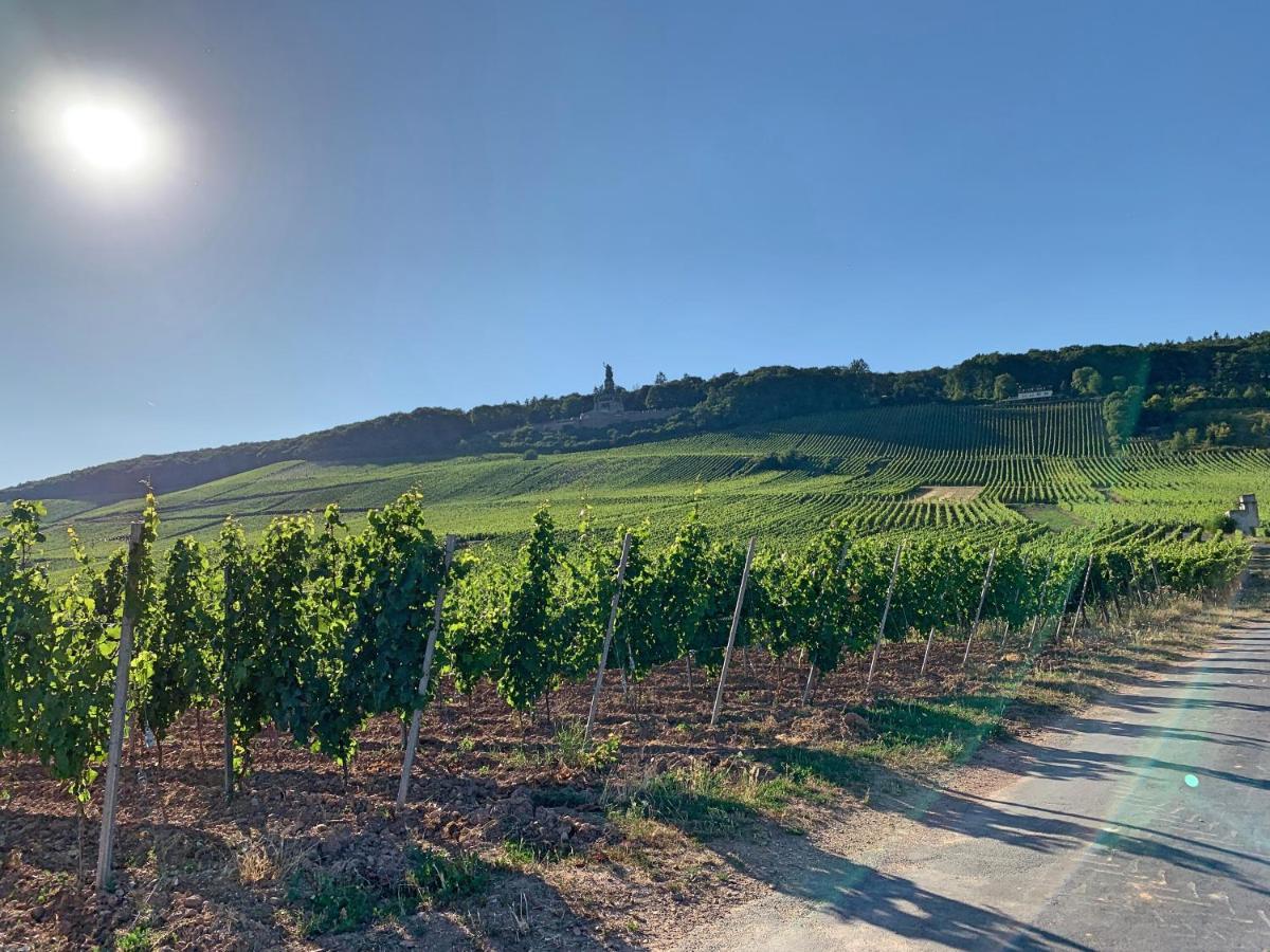 Zur Goldenen Traube * Ruedesheim am Rhein