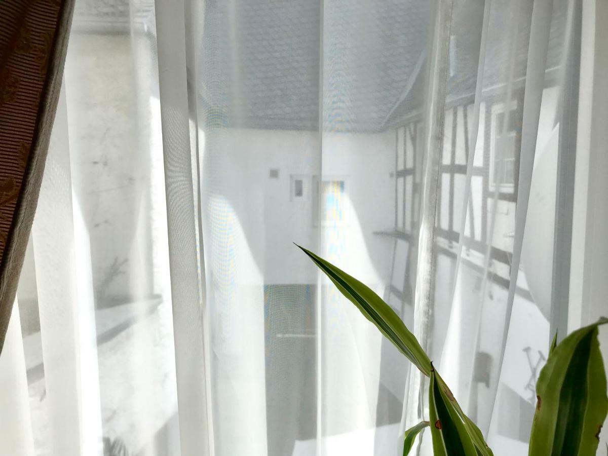 Apartment Zur Goldenen Traube *